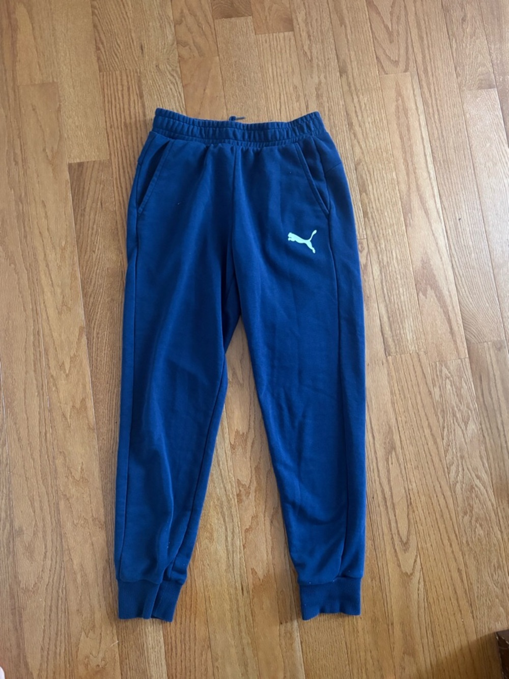 PUMA Blue Jogger Sweatpants